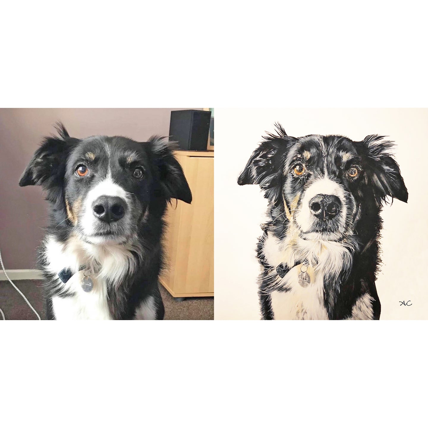 PET PORTRAIT PAINTINGS